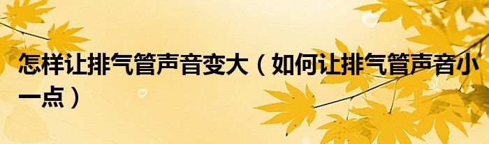 怎样让排气管声音变大（如何让排气管声音小一点）