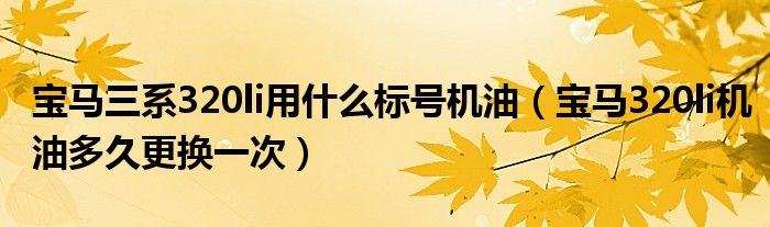 宝马三系320li用什么标号机油（宝马320li机油多久更换一次）