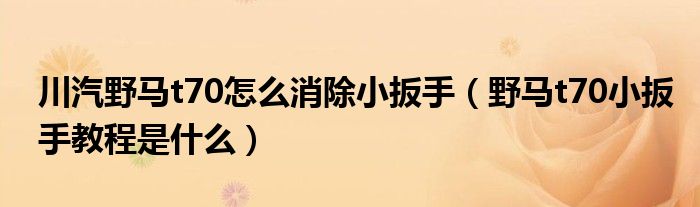 川汽野马t70怎么消除小扳手（野马t70小扳手教程是什么）