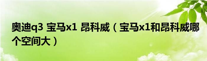 奥迪q3 宝马x1 昂科威（宝马x1和昂科威哪个空间大）